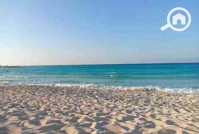 7 1807547-657e7o. webp