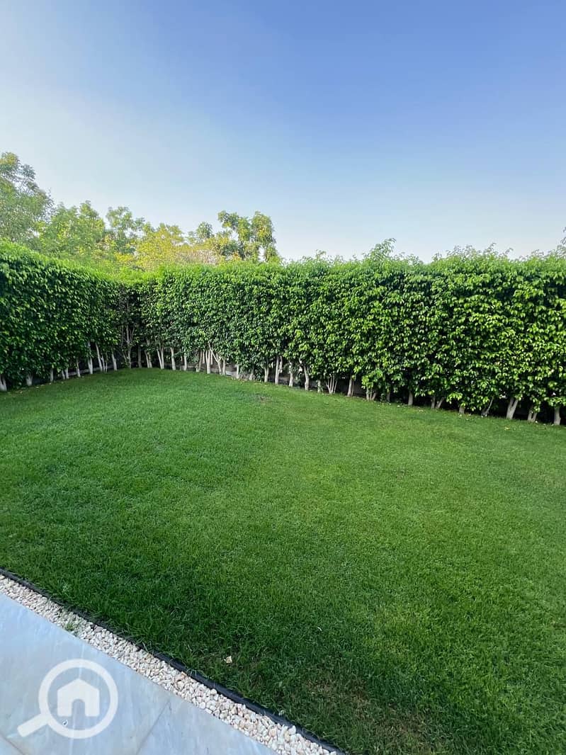 6 photo_2025-07-14_23-04-47. jpg