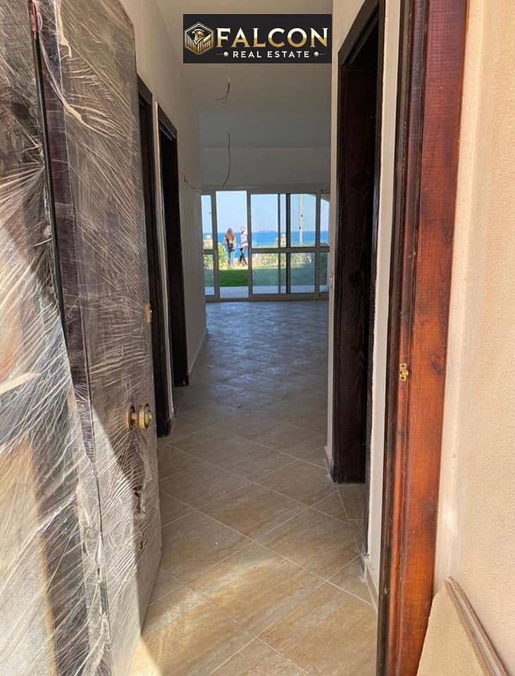 475251805_1196566291892260_6511667125801315316_n. jpg 475251805_1196566291892260_6511667125801315316_n. jpg