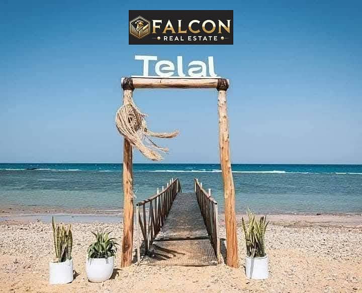 4 514439230_3904233839722134_6484460876569801588_n. jpg