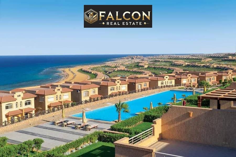 4 489411602_9543139422442577_7351388825024022700_n. jpg