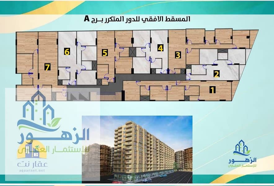 الزهور 1511 (3). jpg