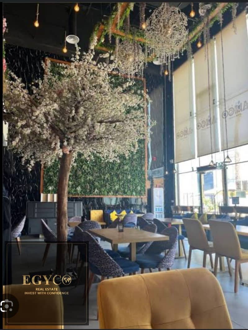 5 WhatsApp Image 2025-08-22 at 1.00. 22 AM. jpeg