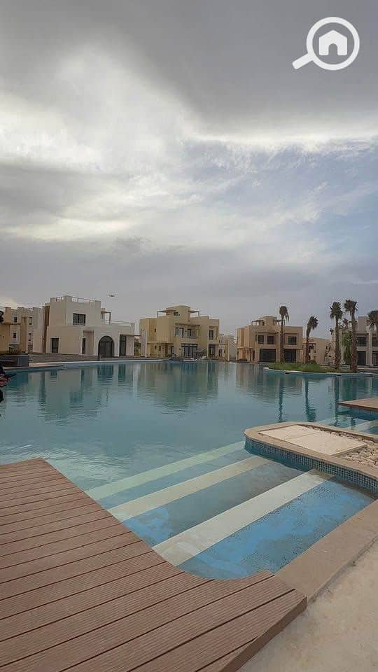 4 496816850_1551653725791181_8341480869621141318_n. jpg