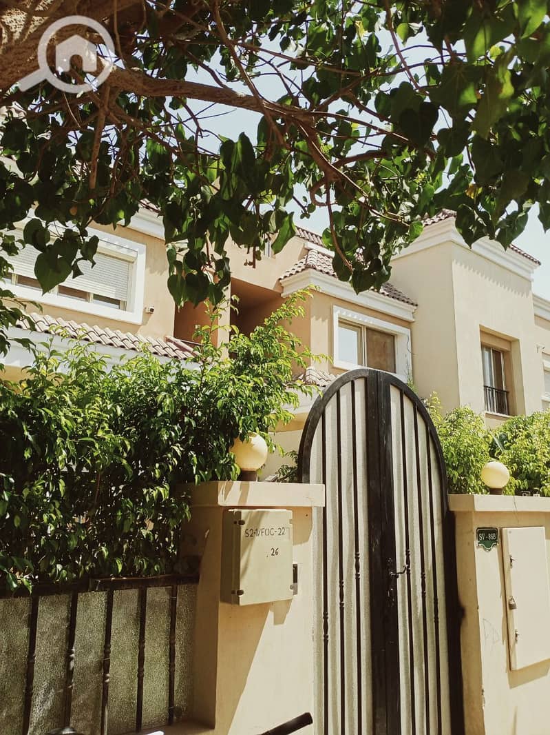 7 photo_2025-07-17_01-08-37. jpg