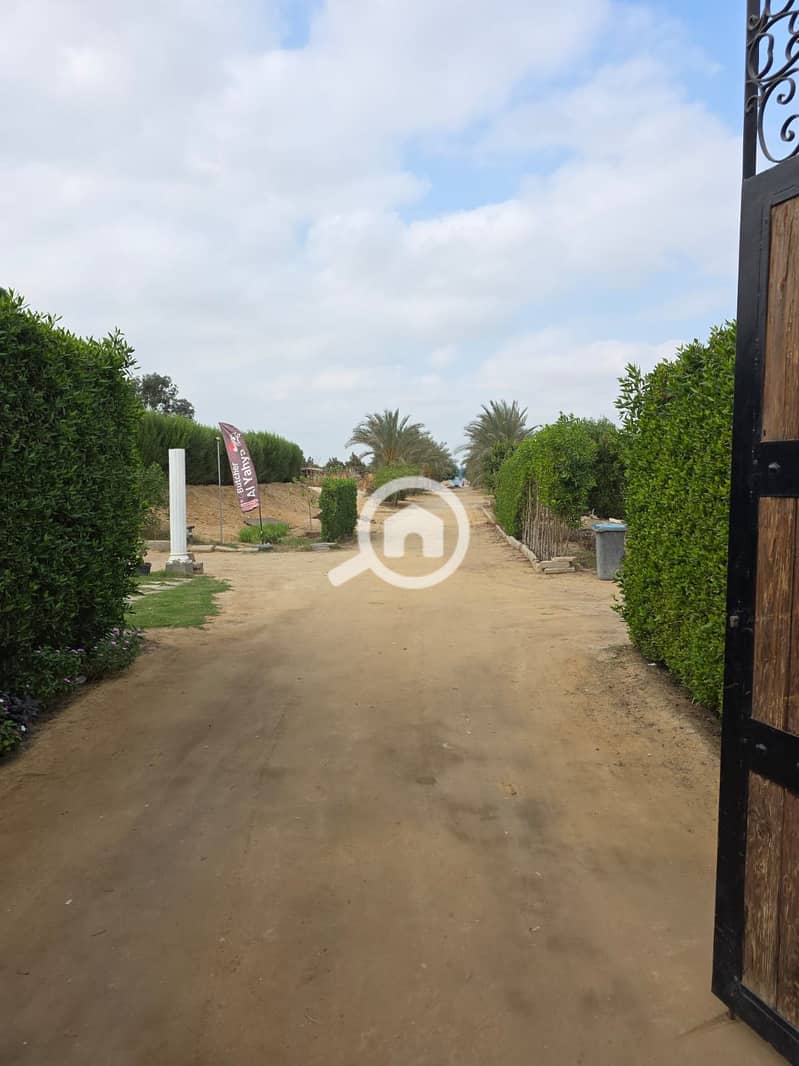 4 WhatsApp Image 2025-11-10 at 01.35. 20 (1). jpeg