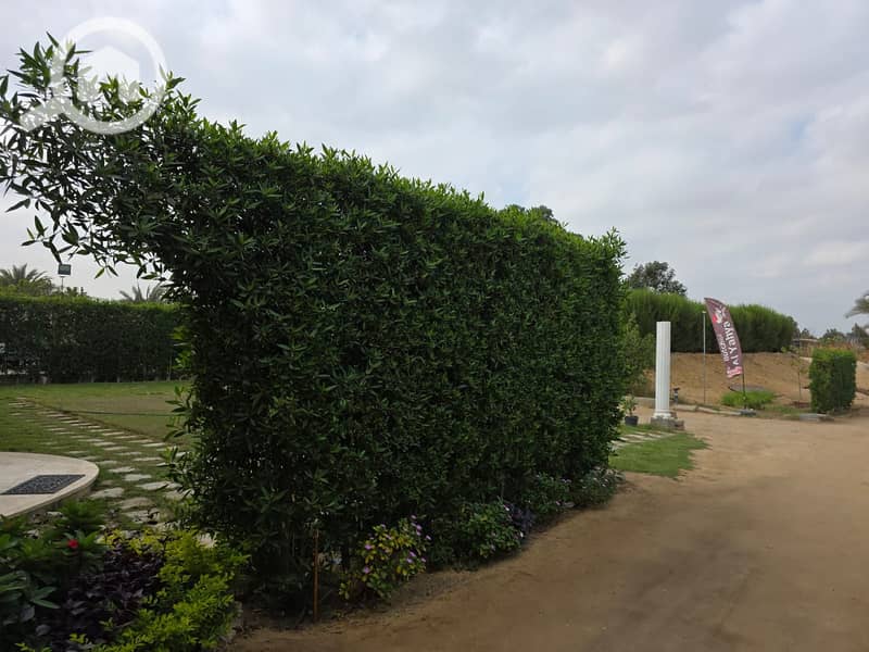 5 WhatsApp Image 2025-11-10 at 01.35. 20. jpeg