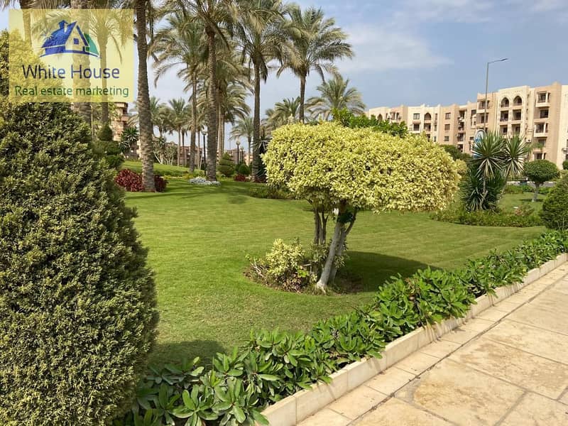 13 WhatsApp Image 2025-11-15 at 7.22. 37 PM. jpeg