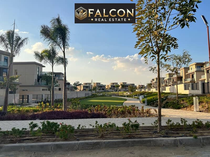 6 51c50860-a46d-45af-84c8-3196a56a8354. jpeg