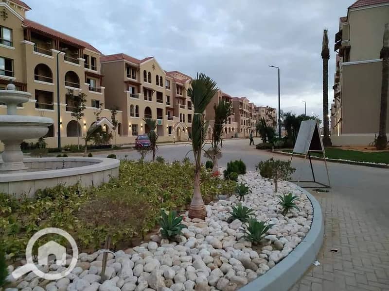 4 517485235_2376706869395439_6249290776440618703_n. jpg