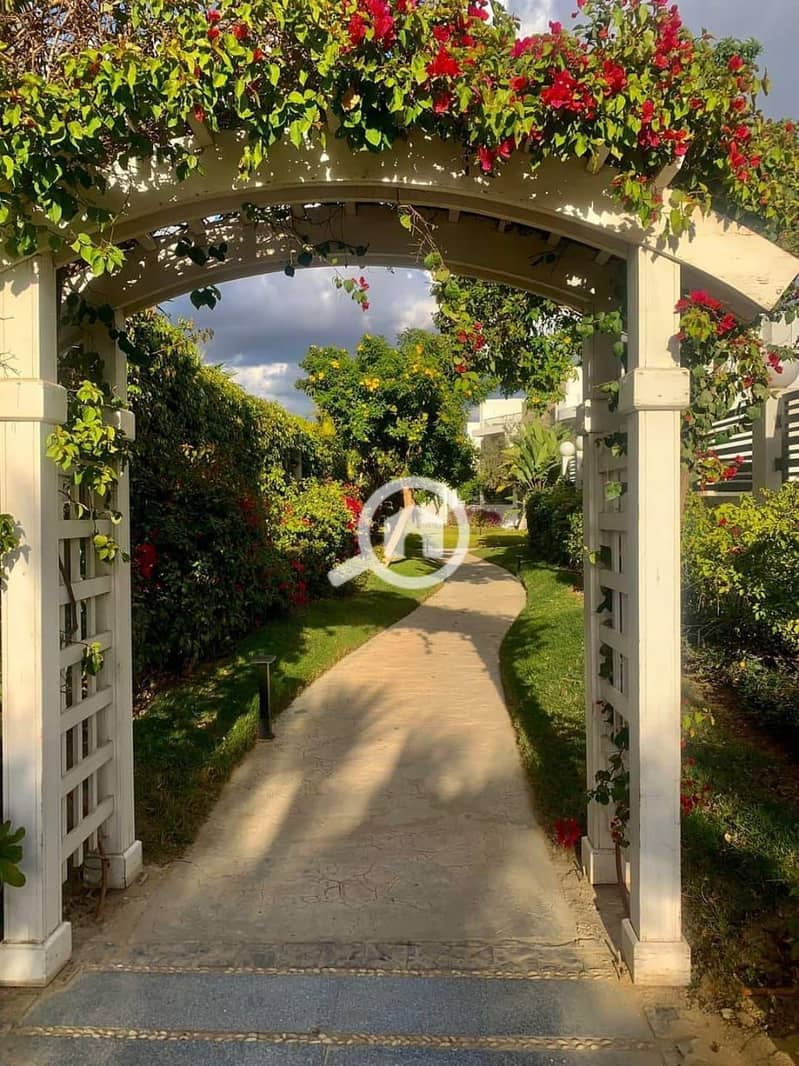 da40794a-825a-45a5-8626-41d9ef689e02. jpg