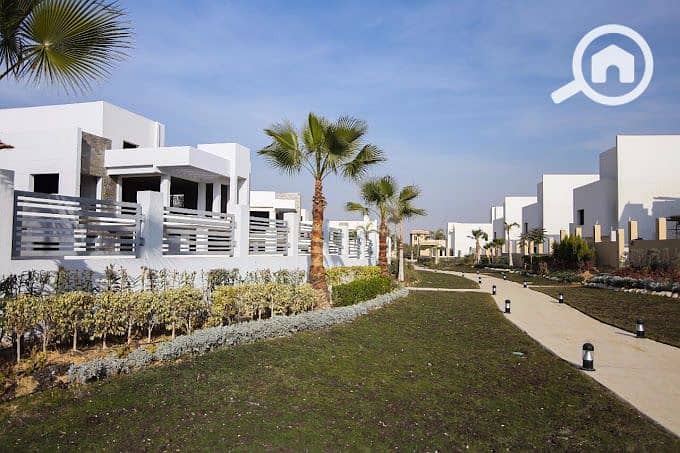 7 2017-11-21 (2). jpg