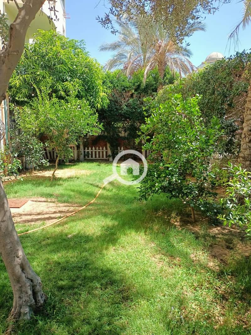 4 540687500_1425084021906063_5610200134633644252_n. jpg