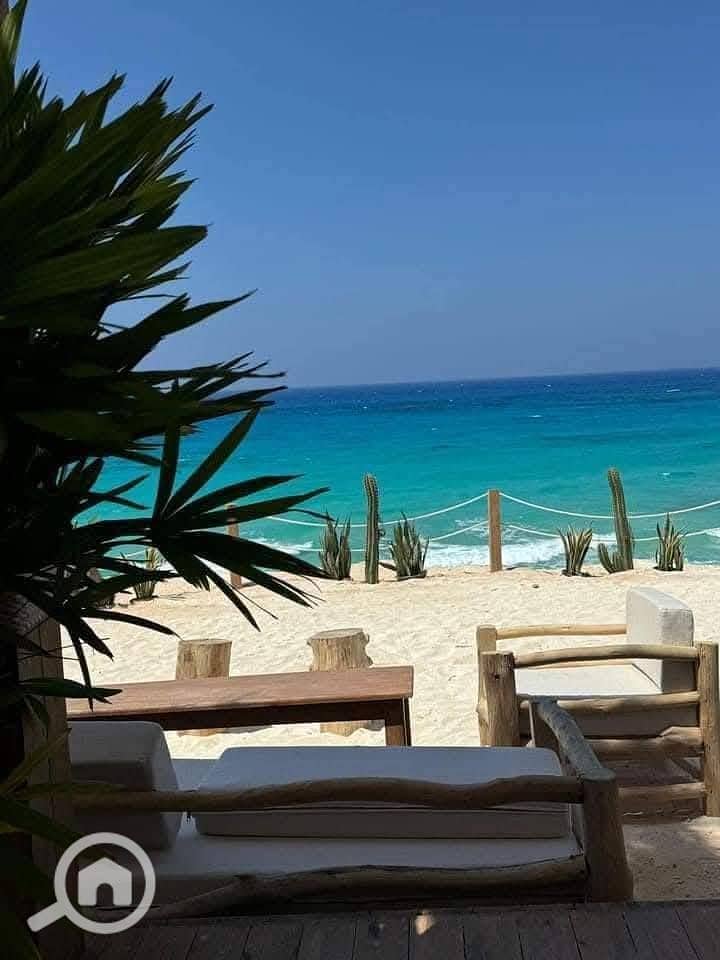 11 485209235_122117543726768204_2974325019643069608_n. jpg