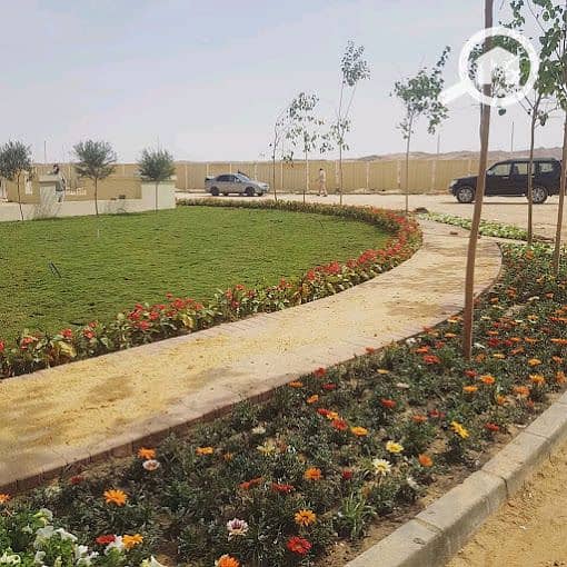 7 image_8ed6ef57-b5af-4eb0-a1fe-2dab5fa3a3ed20210420_203304. jpg