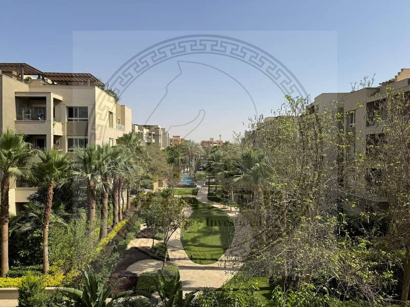 5 WhatsApp Image 2025-11-12 at 5.30. 53 PM. jpeg