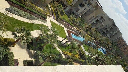 8 medium_56157865_2303676203240069_2511533824857341952_n. jpg