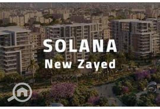 9 8762d3eb-9d42-11ef-9304-0e2f890b3f79. jpg