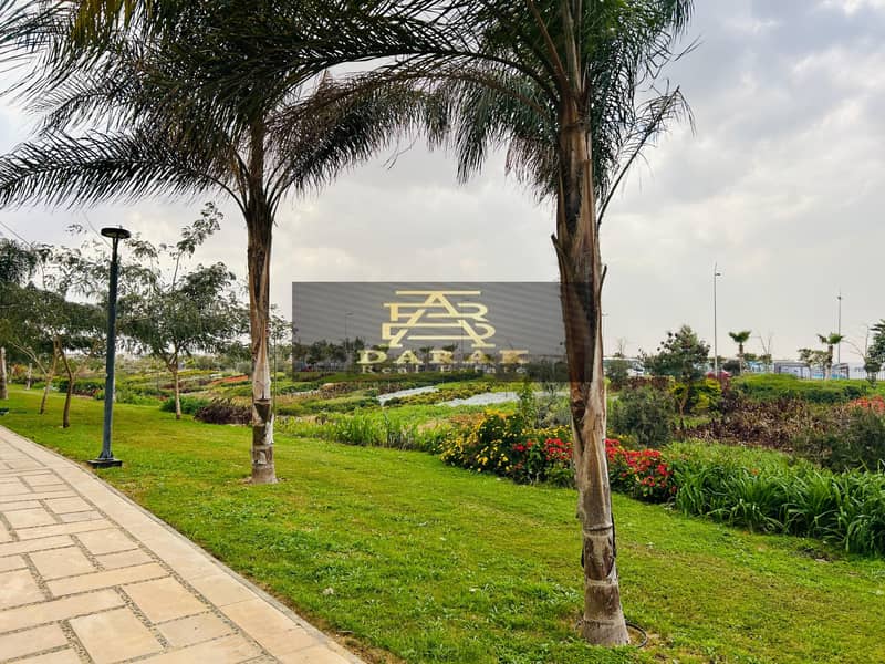 6 49ca9632-b543-4419-bc13-d05486b48cf8. jpg