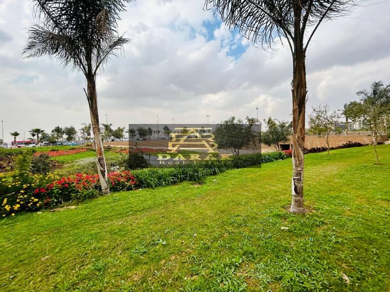 10 e657a209-d78f-4964-b243-7d88e1fd94d7. jpg