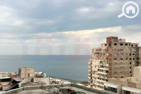 فلیٹ 2 غرفة نوم للبيع في سان ستيفانو، الإسكندرية - WhatsApp Image 2025-11-05 at 5.46. 46 PM (2). jpg فلیٹ 2 غرفة نوم للبيع في سان ستيفانو، الإسكندرية - WhatsApp Image 2025-11-05 at 5.46. 46 PM (2). jpg