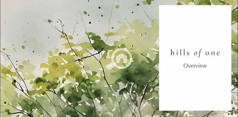 11 IMG-20251111-WA0082. jpg