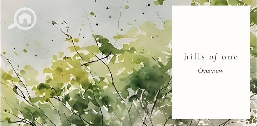 11 IMG-20251111-WA0082. jpg