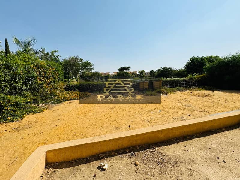 5 WhatsApp Image 2024-07-28 at 16.27. 42_7cdeb6a2. jpg