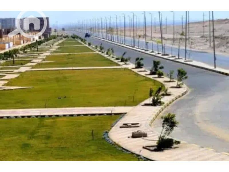 4 7279871-d7d26o. jpg