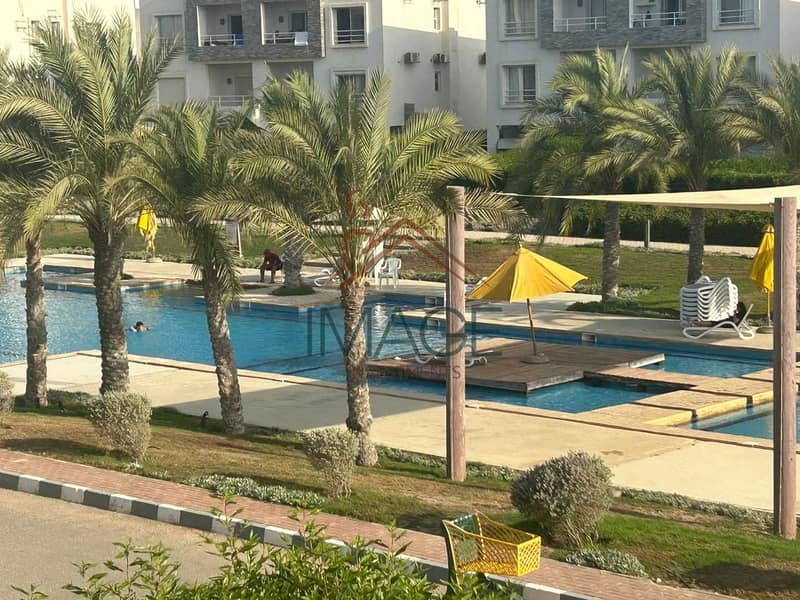 8 WhatsApp Image 2024-12-23 at 15.50. 02 (4). jpeg