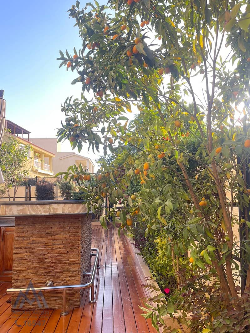 11 WhatsApp Image 2025-11-04 at 1.27. 05 PM (4). jpeg