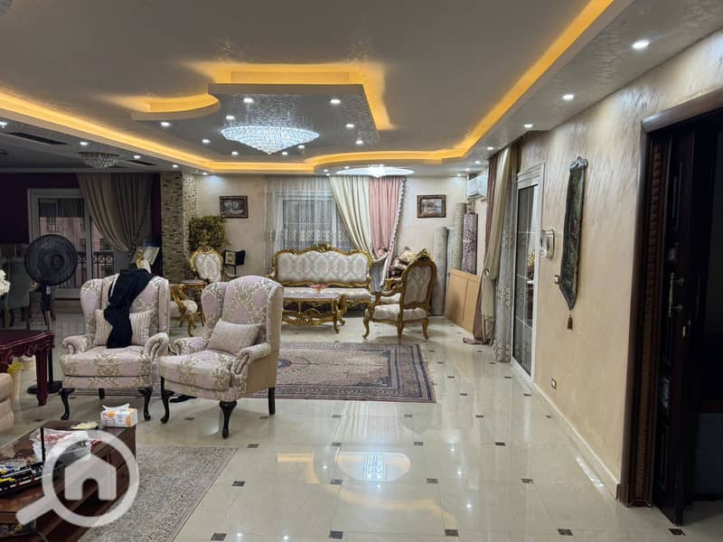 17 b259c434-dbb7-4b51-ae9e-91354f8c9159. jpeg