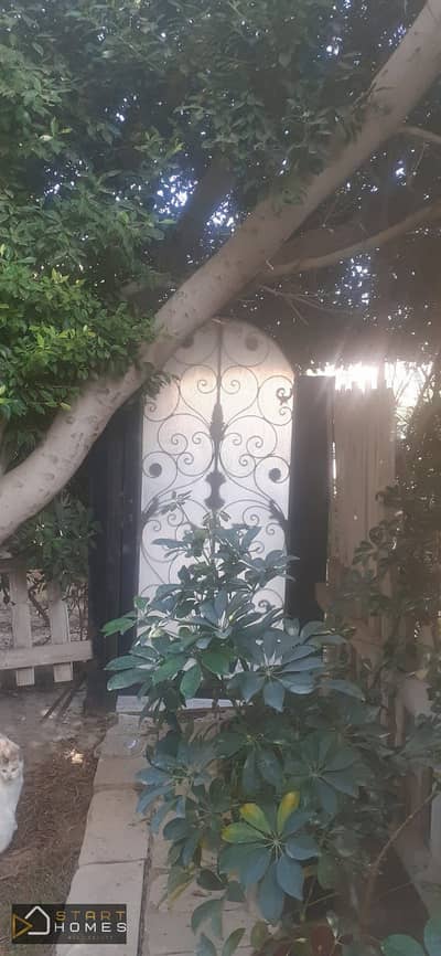 شقة 2 غرفة نوم للبيع في القاهرة الجديدة، القاهرة - WhatsApp Image 2025-11-16 at 10.46. 09 AM. jpeg