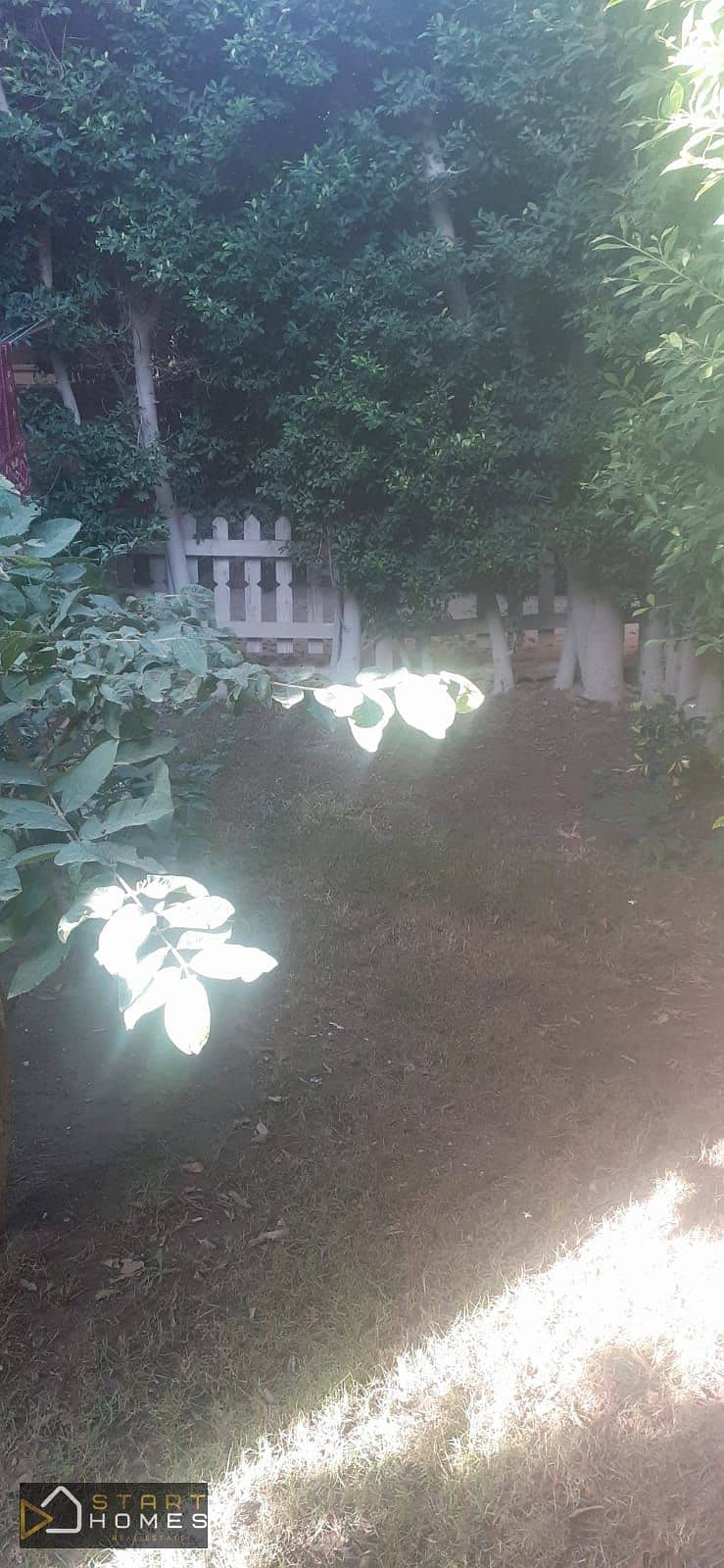 10 WhatsApp Image 2025-11-16 at 10.46. 10 AM. jpeg