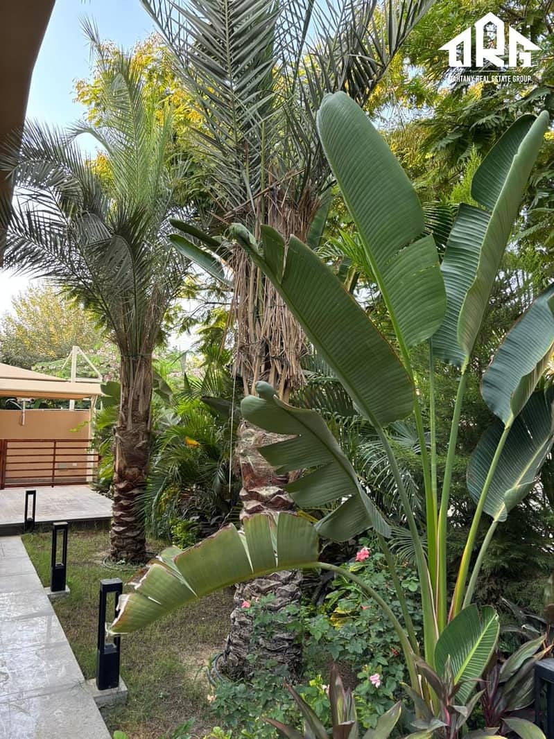 4 IMG-20251116-WA0145. jpg