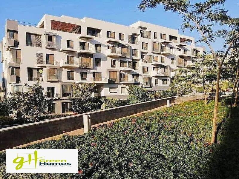 3 416913373_3709343519284894_1039092509088829880_n. jpg