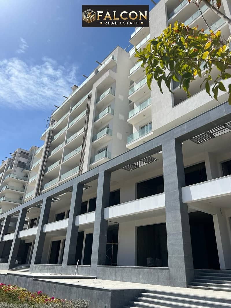 4 256bf283-5420-48c2-96dc-d91a770181a0. jpg