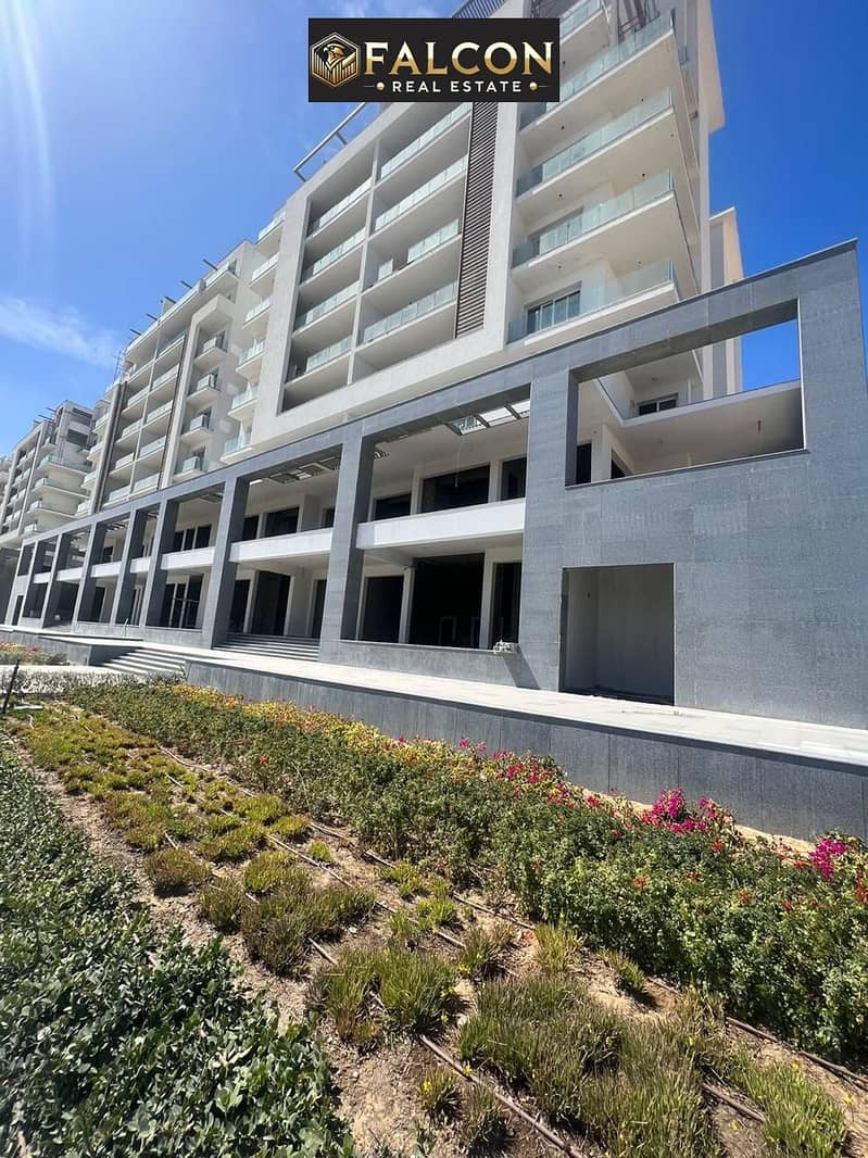 6 841b7152-59a4-4f91-9e2a-af1938f7a60c. jpg