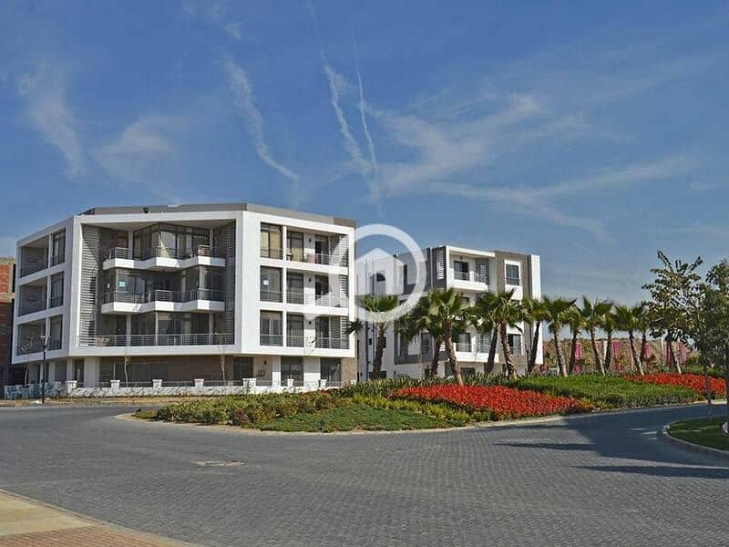 9 74341541_2619384151643643_484023230640770602_n. jpg