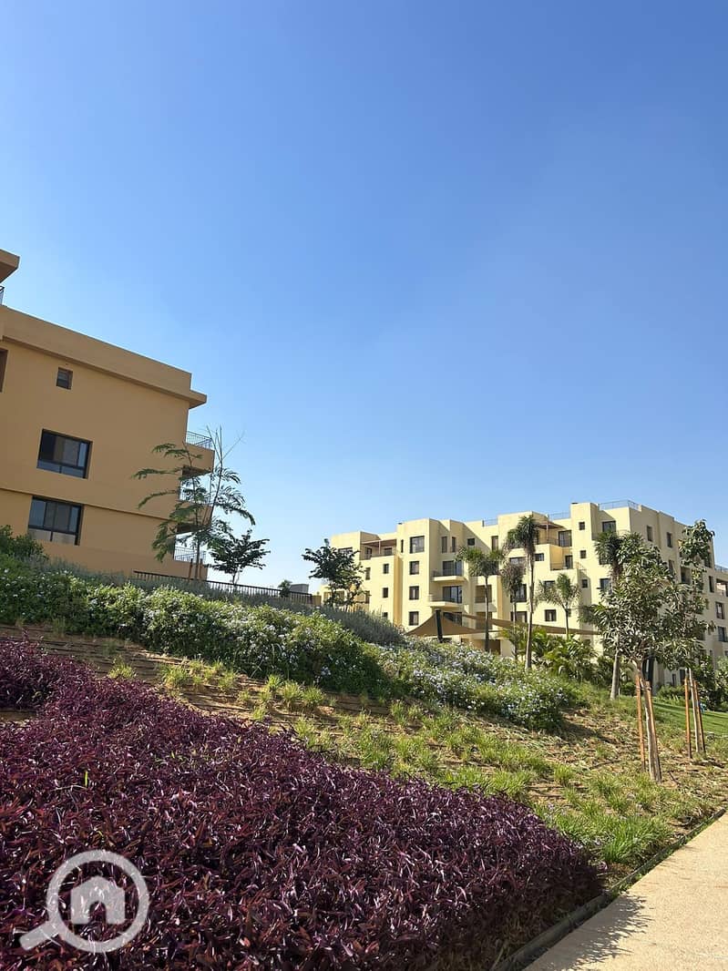 9 557738589_4114944725429689_2599368503087339140_n. jpg