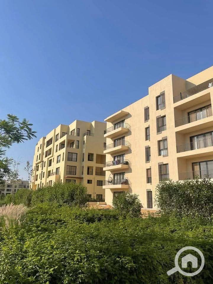 10 558894728_122232637928174827_3899327255081254482_n. jpg