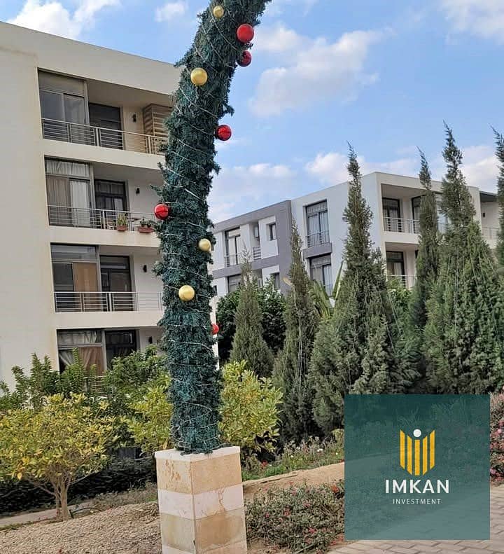 10 583329015_837988978932586_1828358453029090346_n. jpg