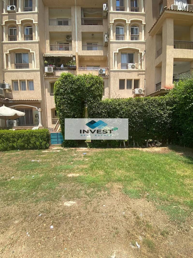 530736789_122132400956856099_6542546133808737536_n. jpg 530736789_122132400956856099_6542546133808737536_n. jpg