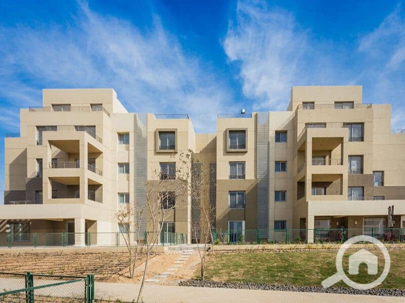 9 2020-11-07 (5). jpg