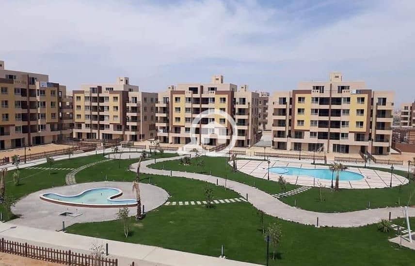 3 1969243-5f78co. jpg