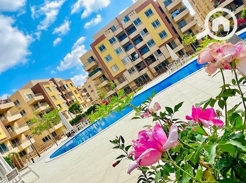 9 WhatsApp Image 2023-11-19 at 2.13. 19 PM (1). jpeg