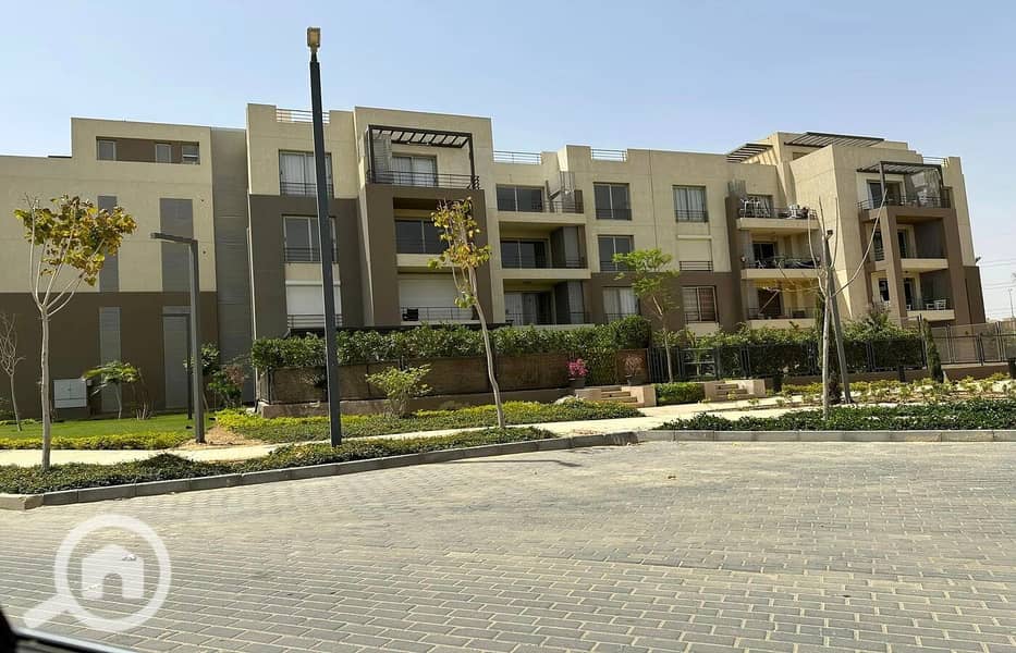 3 446716218_10229742704527708_2096286492037913644_n. jpg