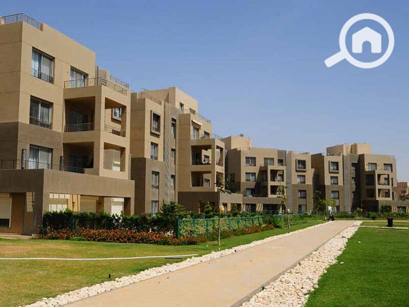 6 palm parks palm hills. jpg