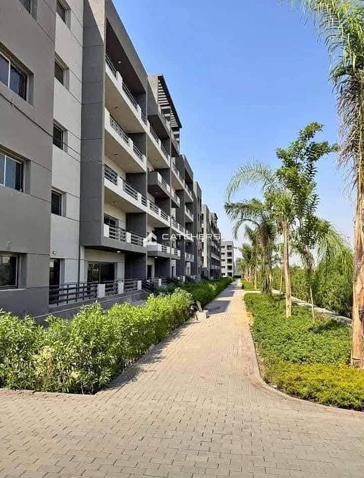 6 518835924_1150834486782072_1797223118993970891_n. jpg