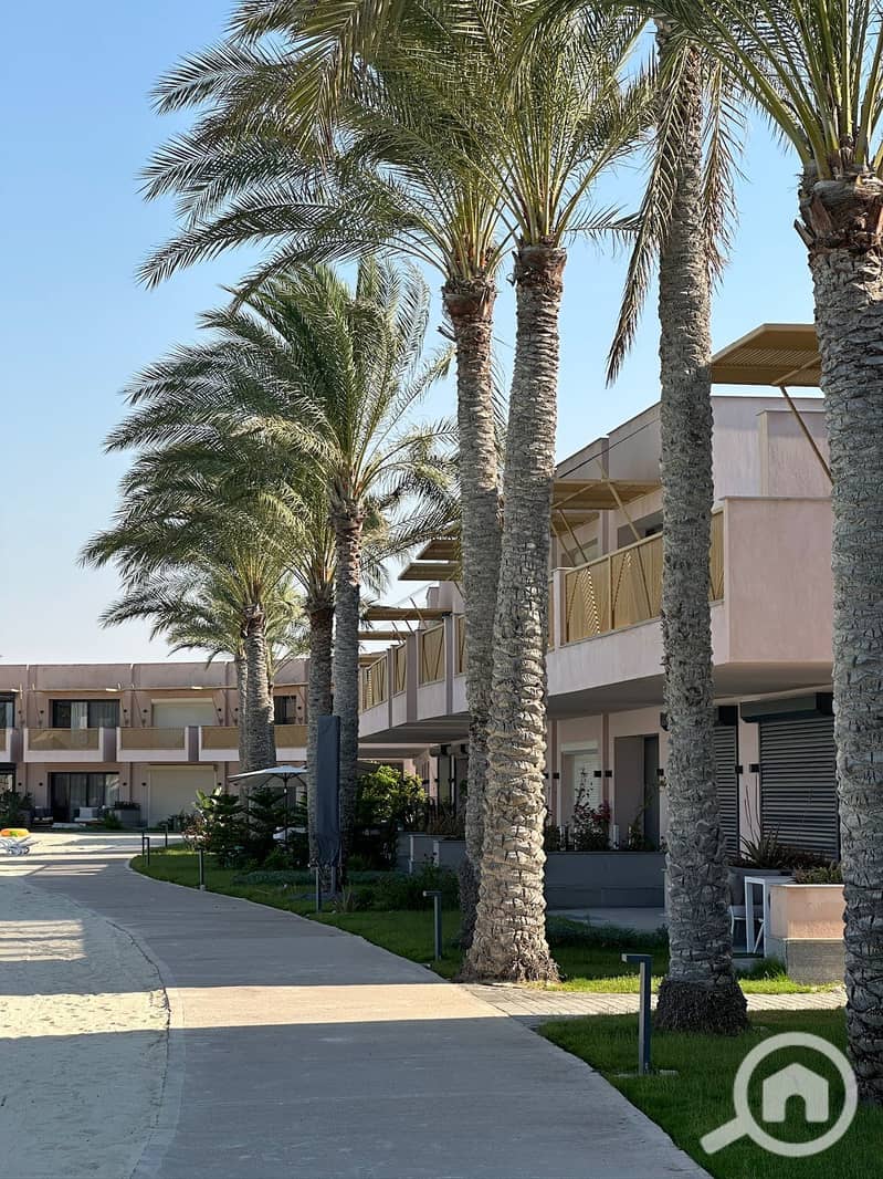 6 10e6cb46-cc3e-4adc-bb91-2c5c66f82c09. jpeg